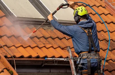 Démoussage et hydrofuge de toiture à Saint-Léomer